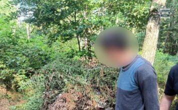 Poszukiwany ukrywał się w lesie w namiocie zakrytym krzakami i paprociami