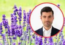 Zielona Góra. Administracja osiedla szuka złodzieja… lawendy. Radny Kornalewicz apeluje