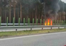 Pożar samochodu na S3 pod Zieloną Górą. To była kula ognia (ZDJĘCIE CZYTELNIKA)