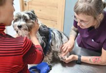 Zielona Góra. Do ostatniego pacjenta i w weekendy