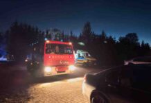 Koszmar. 5-letni Antoś zmiażdżony ścinanym drzewem, nie żyje