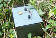 Okradły seniora, wynosiły kasetkę z gotówką. Złodziejki zostały oskarżone