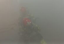 Zielona Góra. Zadyma w komendzie miejskiej (ZDJĘCIA)