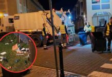 Zielona Góra. Niewiarygodne ile śmieci zebrali pracownicy ZGK podczas winobrania 2025