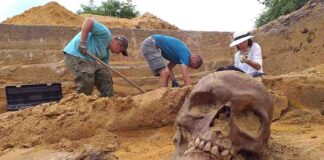 Zielona Góra. Archeologiczne odkrycia na cmentarzu Świętej Trójcy