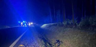 Zielona Góra. Wypadek na obwodnicy południowej, zderzenie motocyklisty z Fiatem