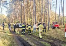 Słubice. Zaginął 67-letni grzybiarz, ogłoszono alarm dla komendy policji