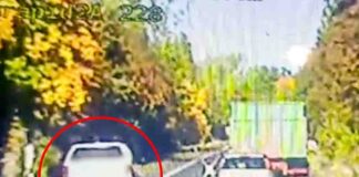 Wpadł na rażącym wykroczeniu. Zielonogórskiej policji powiedział, że nie powie dlaczego tak zrobił