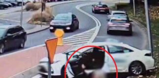 Zielona Góra. Awantura taksówkarzy i Bolt pojechał do tyłu. Wszystko się nagrało (FILM)