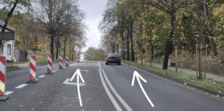 Zielona Góra. Korki na ulicach w mieście to wina kierowców