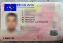 Ukrainiec jeździł na prawie jazdy kupionym w internecie