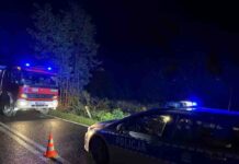 Śmiertelny wypadek. Renault dachowało, kierująca zginęła na miejscu, ranne 11-letnie dziecko