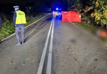 Makabryczny wypadek na drodze. Nie żyje dziecko, a drugie walczy o życie (ZDJĘCIA)
