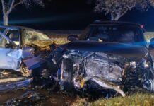 Śmiertelny wypadek na trasie z Lipna do Radomicka. Policja szuka świadków (ZDJĘCIA)