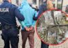 Sulechów. Wpadł diler z narkotykami ukrytymi w garażu i samochodzie