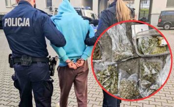 Sulechów. Wpadł diler z narkotykami ukrytymi w garażu i samochodzie