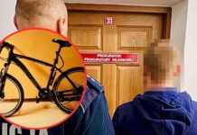 Porwali, wywieźli do lasu i pobili ofiarę, żeby… ukraść rower
