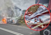 Żary. Napad na listonosza, rabunek gotówki oraz spalony samochód. Była wielka obława policji