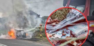 Żary. Napad na listonosza, rabunek gotówki oraz spalony samochód. Była wielka obława policji