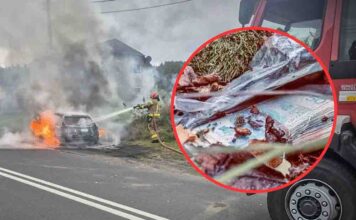 Żary. Napad na listonosza, rabunek gotówki oraz spalony samochód. Była wielka obława policji