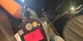 Zielona Góra. Trwa duża akcja policji, kierowcy tracą prawa jazdy