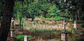 Zielona Góra. Cmentarz w lesie kryje mroczną tajemnicę zamordowanych maleńkich dzieci