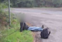 Turek zaginiony w Niemczech znaleziony na ulicy w Poznaniu. Nie wie jak się tam znalazł