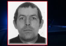 Zaginął 43-letni grzybiarz. Szuka go policja z Krosna Odrzańskiego