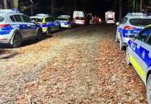 Straszny finał poszukiwania grzybiarza. Znaleziono ciało