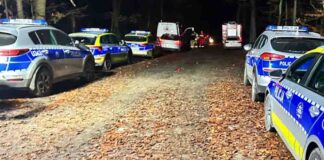 Straszny finał poszukiwania grzybiarza. Znaleziono ciało