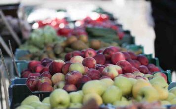 Ważny komunikat urzędu miasta w sprawie ryneczku przy ulicy Owocowej