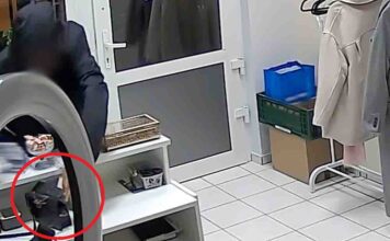 Zielona Góra. Bezczelna kradzież w salonie kosmetyczny i zaskoczenie złodzieja szybkim zatrzymaniem (FILM)