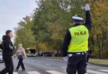 Zielona Góra. Drogówka: 189 wykroczeń podczas akcji „Wszystkich Świętych”
