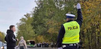 Zielona Góra. Drogówka: 189 wykroczeń podczas akcji „Wszystkich Świętych”