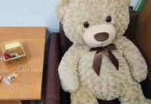Włamywacze ukradli z domu… pluszowego misia