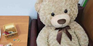 Włamywacze ukradli z domu… pluszowego misia