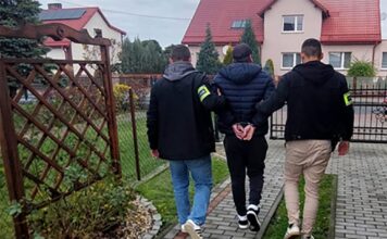 Ukrainiec jeździł pijany i składał fałszywe zeznania. Został deportowany