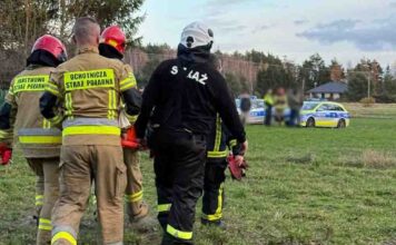 73-latka utknęła na bagnach. Na pomoc czekała dwa dni