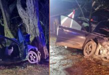 Śmiertelny wypadek. Volkswagenem uderzyła w drzewo. 46-letnia Ukrainka nie żyje