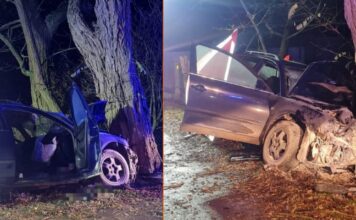 Śmiertelny wypadek. Volkswagenem uderzyła w drzewo. 46-letnia Ukrainka nie żyje