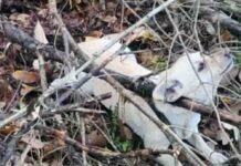 Wstrząsające. Założył psom na szyje pętle samozaciskowe, jeden udusił się. Policja szuka zwyrodnialca