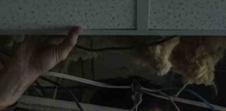 Sklepowy złodziej przed policjantami schował się w podwieszanym suficie