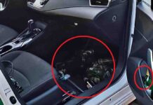 Taksówkarz wydmuchał 2,6 promila. W samochodzie puszki i butelki po alkoholu