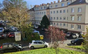 Zielona Góra. To już jest parko-terror (LIST I ZDJĘCIA CZYTELNIKA)