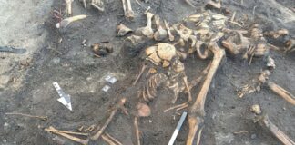 Lubuskie. Archeolodzy odkryli tajemniczy grób. Ciała dorosłych i dzieci wrzucano do jamy w pośpiechu