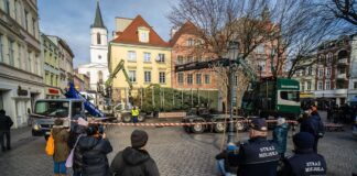 Zielona Góra ma nową choinkę. To 12-metrowy świerk przy ratuszu (ZDJĘCIA)