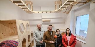 Nowa kociarnia w Zielonej Górze. Koty w schronisku już nie w króliczych klatkach