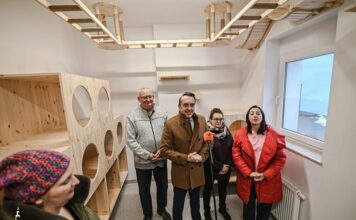 Nowa kociarnia w Zielonej Górze. Koty w schronisku już nie w króliczych klatkach