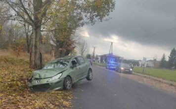 Konin. Pijany Peugeotem spowodował dwie kolizji i rozbił się w rowie