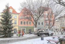 Zielona Góra. W piątek przy ratuszu stanie choinka, a za kilka dni odpalamy iluminacje